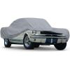 Ford Mustang (1965-2004)